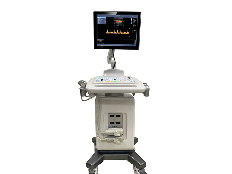 C300 彩色超声多普勒诊断系统